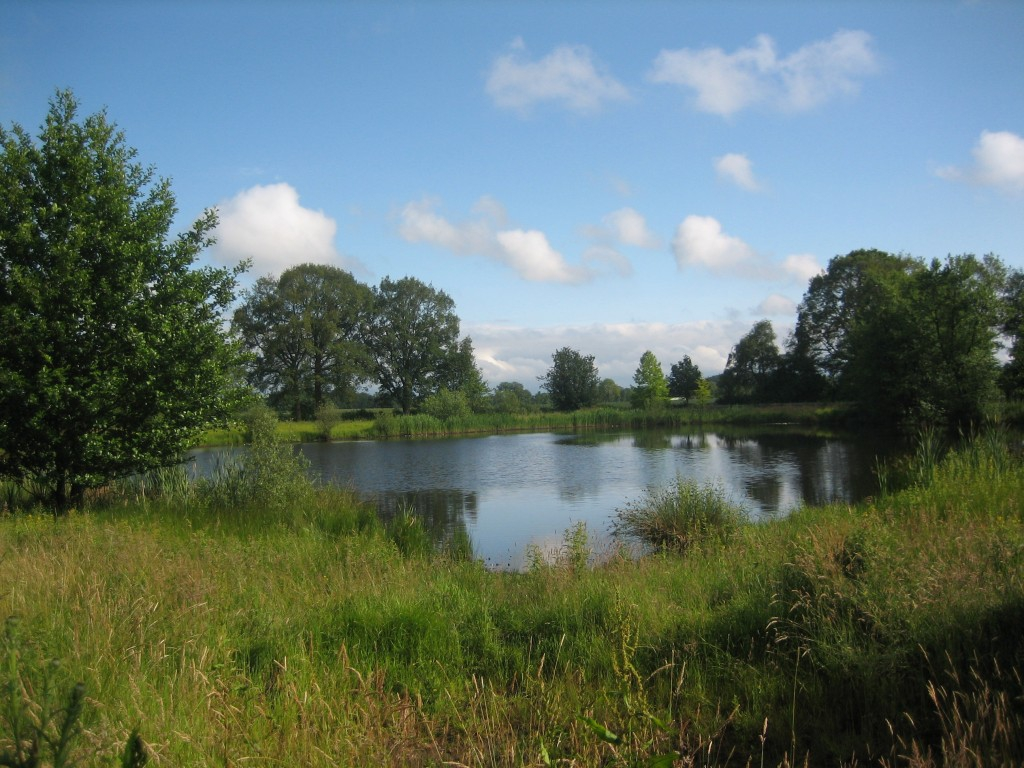 Omgeving